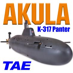 Akula K-317 Panther mit Tauchsystem TAE 